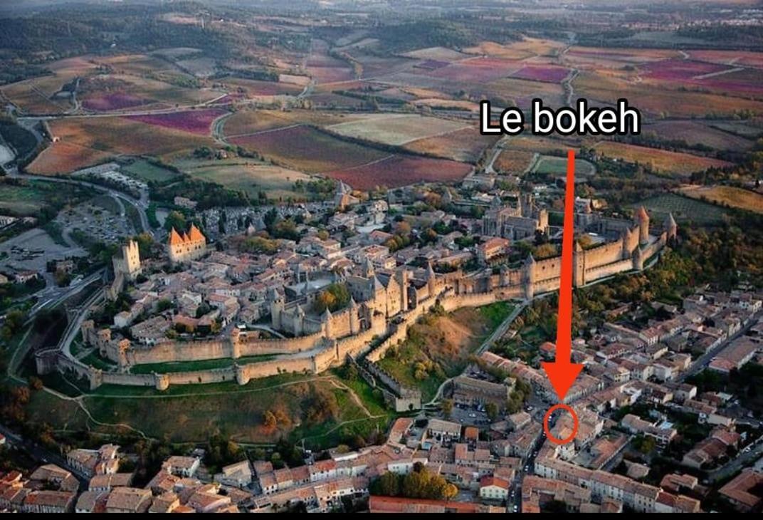 Le Bokeh - Face A La Cite Medievale Carcassonne Bagian luar foto